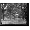 thumbnail image 2 of Historic Framed Print, Beauvoir, home of Jefferson Davis near Biloxi, Miss., 17-7/8" x 21-7/8", 2 of 9
