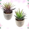 thumbnail image 2 of FENGGUIQU 2Ud Suculentas Artificiales Pequeñas Para Decorativa En Diferentes Espacios Del Hogar, 2 of 8