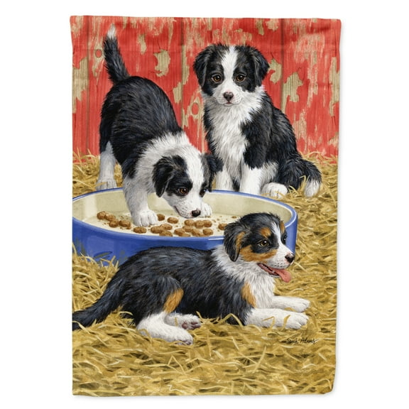 Carolines Treasures ASA2079GF Border Collie Pups Flag Garden Size  Small multicolor