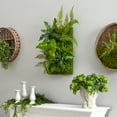 thumbnail image 3 of Nearly Natural 24in. x 16in. Mixed Foliage Artificial Living Wall, 3 of 4