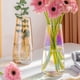 thumbnail image 4 of Jarrón de vidrio galvanizado, 1 pieza, florero decorativo, contenedor para plantas hidropónicas., 4 of 6