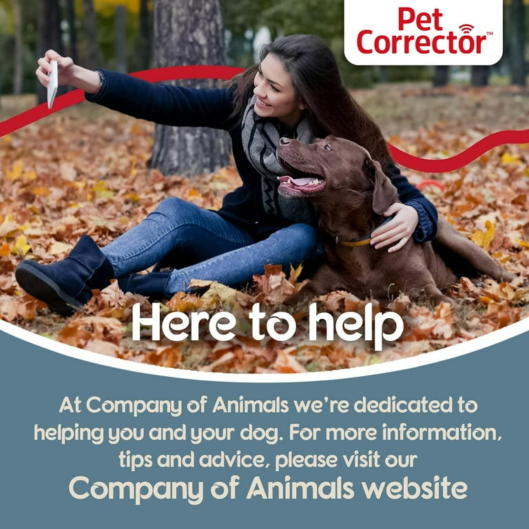 The company of animals hotsell pet corrector