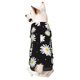 thumbnail image 1 of Balery Daisies Flowers Sudadera con Capucha para Perros Pequeños – Ropa para Mascotas, Disfraz para Perros y Gatos, Ideal para Fiestas y Cosplay-XX-Large, 1 of 7