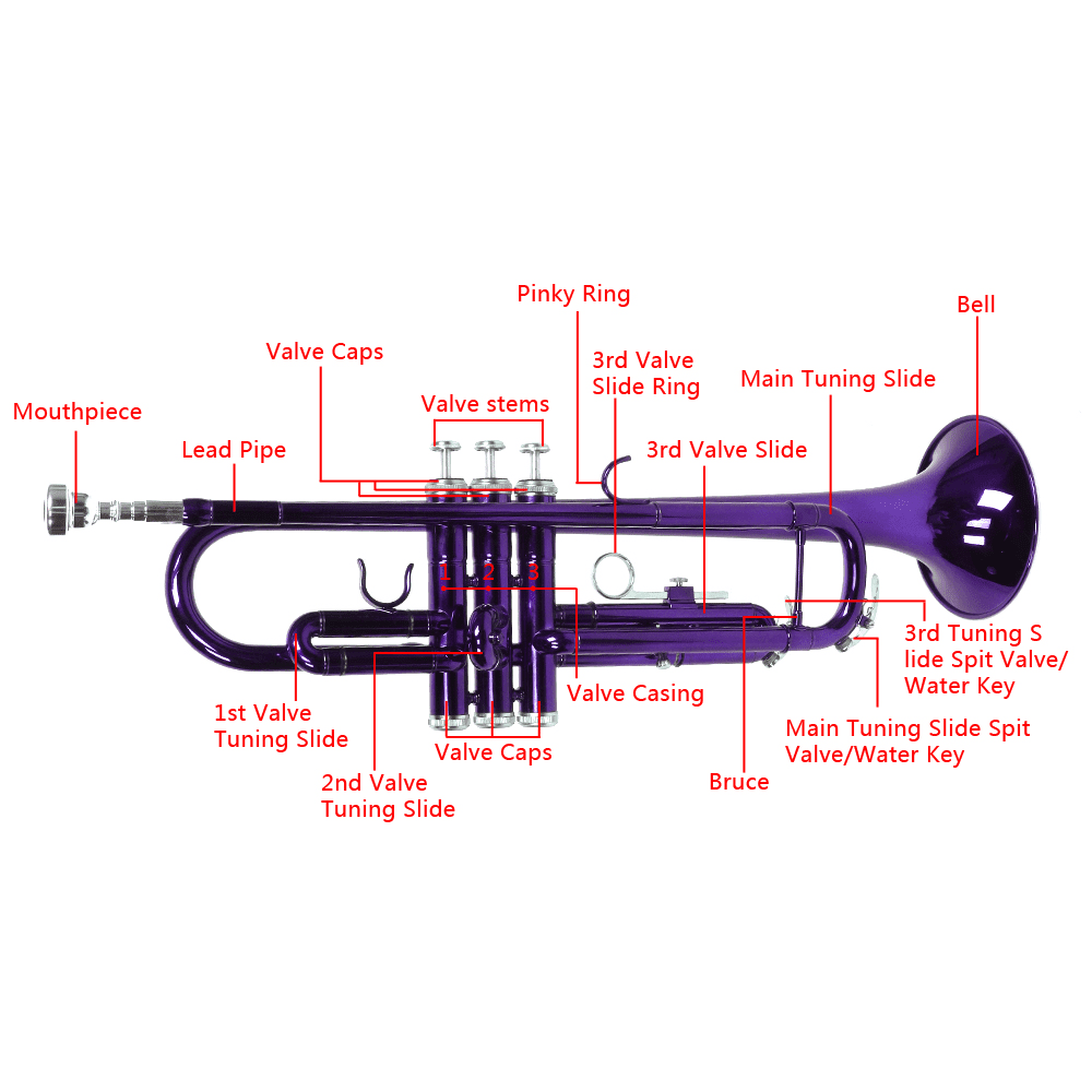 Tcbosik B Flat Trumpet Set for Beginner, Trumpet Instrument with Case and Gloves for Adults, Violet