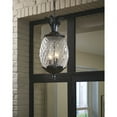 thumbnail image 2 of 7516BC Acclaim Lighting Lanai - Three Light Outdoor Hanging Lantern - 10 Inches Wide by 21 Inches High-Black Coral Finish, 2 of 7