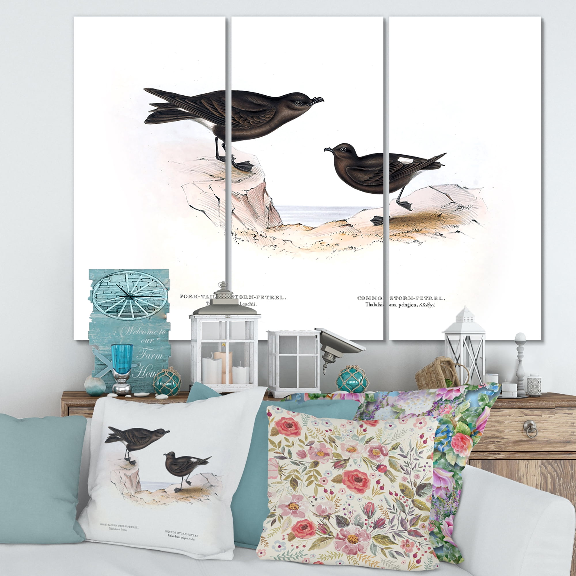 Designart ' Ancient Bird Of Europe III ' Traditional Canvas Wall Art Print