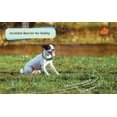 thumbnail image 4 of Groovypets Remote Dog Training Shock Collar, 4 of 5