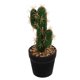 thumbnail image 3 of Cactus artificial, planta artificial en maceta, planta de plástico para sala de estar., 3 of 8