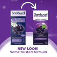 thumbnail image 2 of Sirope Sambucol Black Elderberry Sambucus Original 120ml, 2 of 9