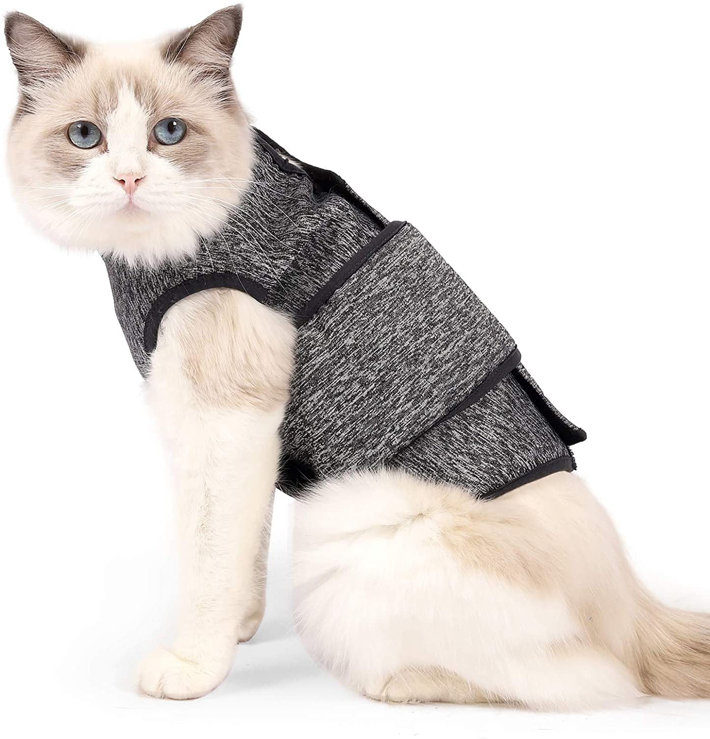 Anxiety jackets hotsell for cats