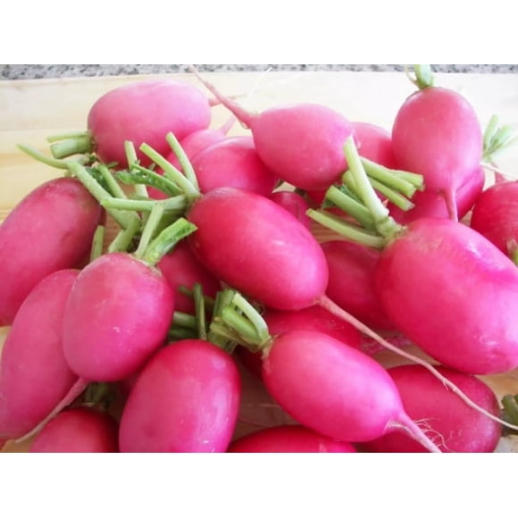 HJADGG 350 Graines de Radis Pantoufle pour Femme – Raphanus Sativus Long Radis Rouge Rose Petit-Déjeuner Français et Graines de Légumes Patrimoniaux Style Daikon Rouge pour la Plantation Cultivent à la Maison Jardin
