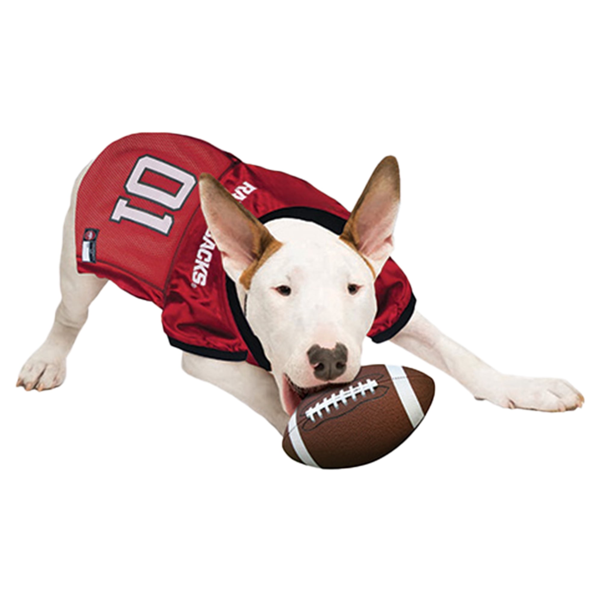 Arkansas Razorbacks Mesh Dog Football Jersey