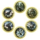 thumbnail image 1 of Set de monedas Ecos de la era de los dinosaurios con 6 monedas raras, 1 of 5