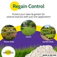 thumbnail image 3 of St. Gabriel Organics Milky Spore Powder Japanese Beetle Grub Control, 10 Oz, 3 of 6
