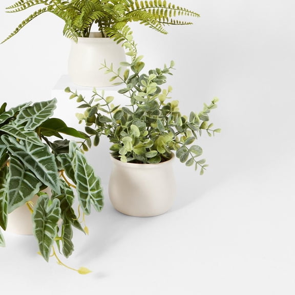 Anko Artificial Dollar Gum Eucalyptus in Pot