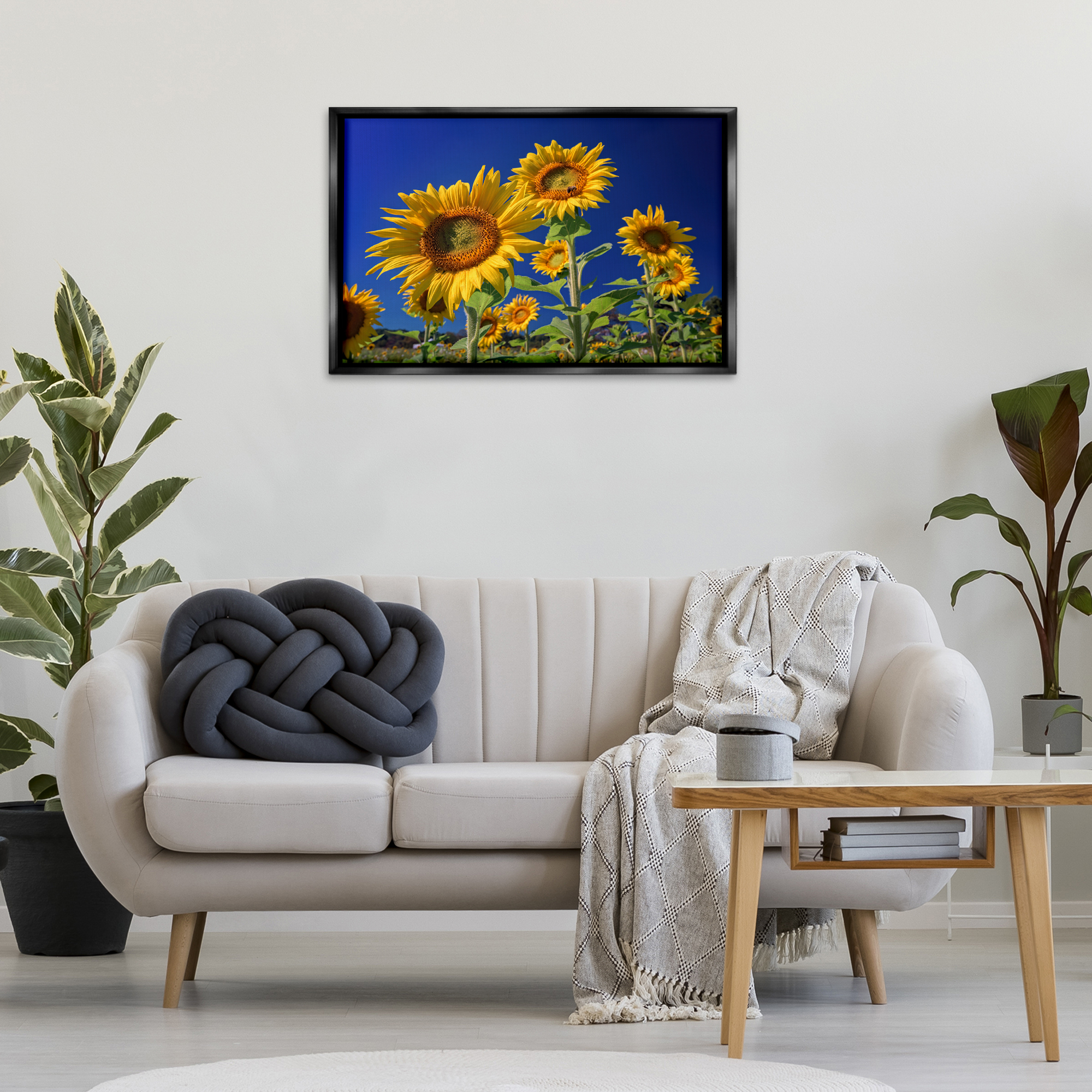 Stupell Industries Bright Sunflowers with Blue Sky Plants & Flowers Photography Black Floater Framed Canvas Art Print Wall Art, 31 x 21