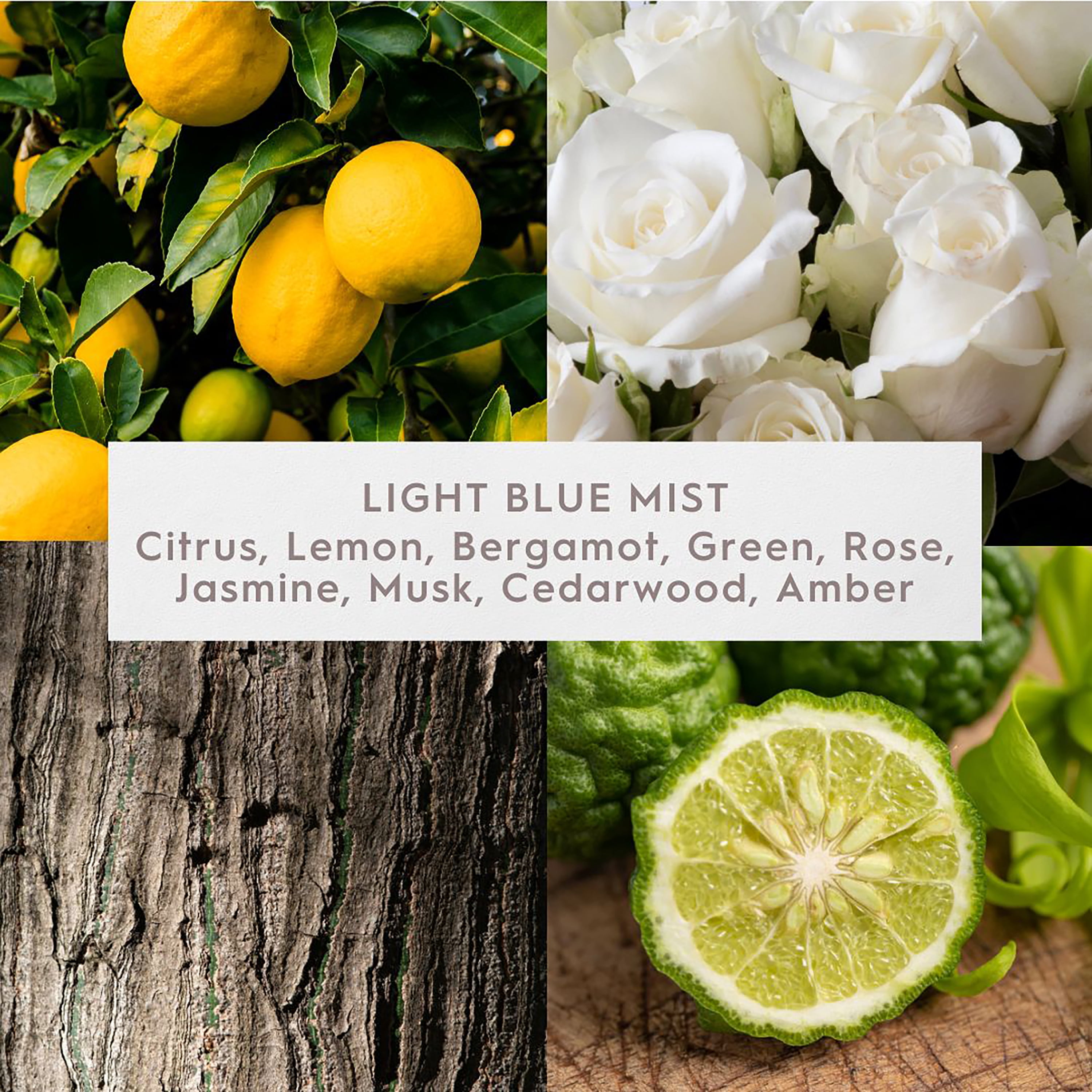 Better Homes & Gardens Fine Fragrance Collection Light Blue Mist Scented 2-Wick Jar Candle, 16 oz