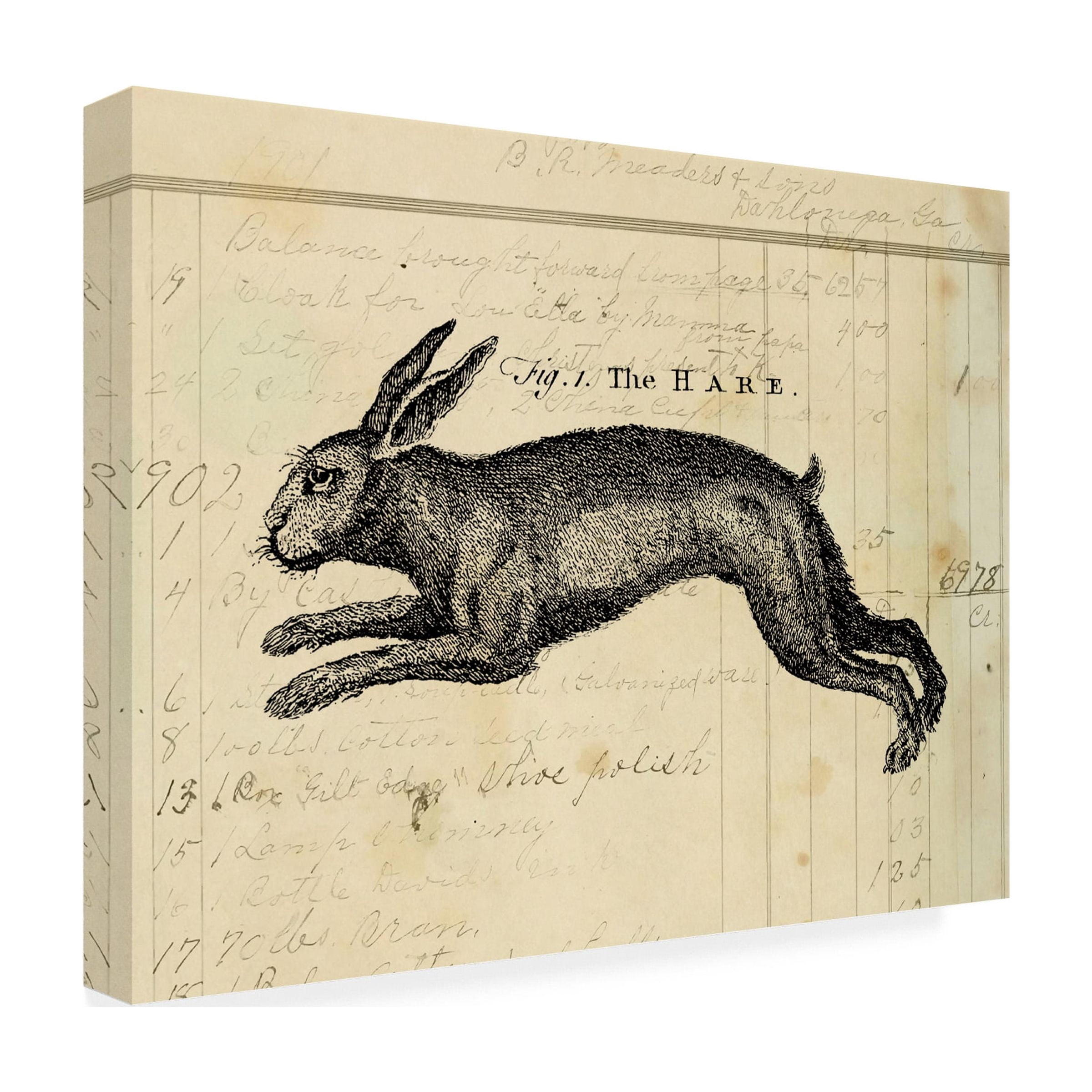 Marcee Duggar 'The Hare' Canvas Art