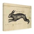 thumbnail image 4 of Marcee Duggar 'The Hare' Canvas Art, 4 of 4