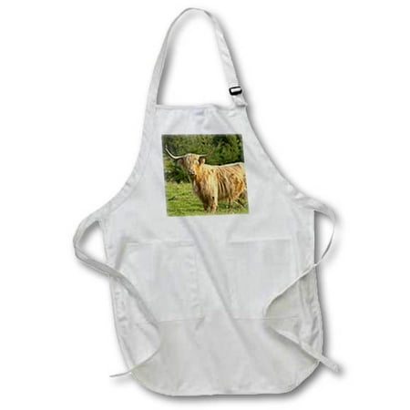 

3dRose Hairy Highland longhorn cattle Brown Smaland Sweden - EU28 PKA0053 - Per Karlsson Full Length Apron 22 by 30-inch White With Pockets
