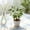 Green-C, variant on Artificial Ficus Bonsai Tree - Fake Potted Plants for Indoor Home Decor - Plastic Greenery Tabletop Ornament - Small HousePlants for Office Shelf Desk Living Room - 10 Inch Artificial Plants