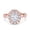 Rose, variant on Simulated Cubic Zirconia Size-5 Oval Art Deco Halo Engagement Wedding Bridal Ring 925 Sterling Silver