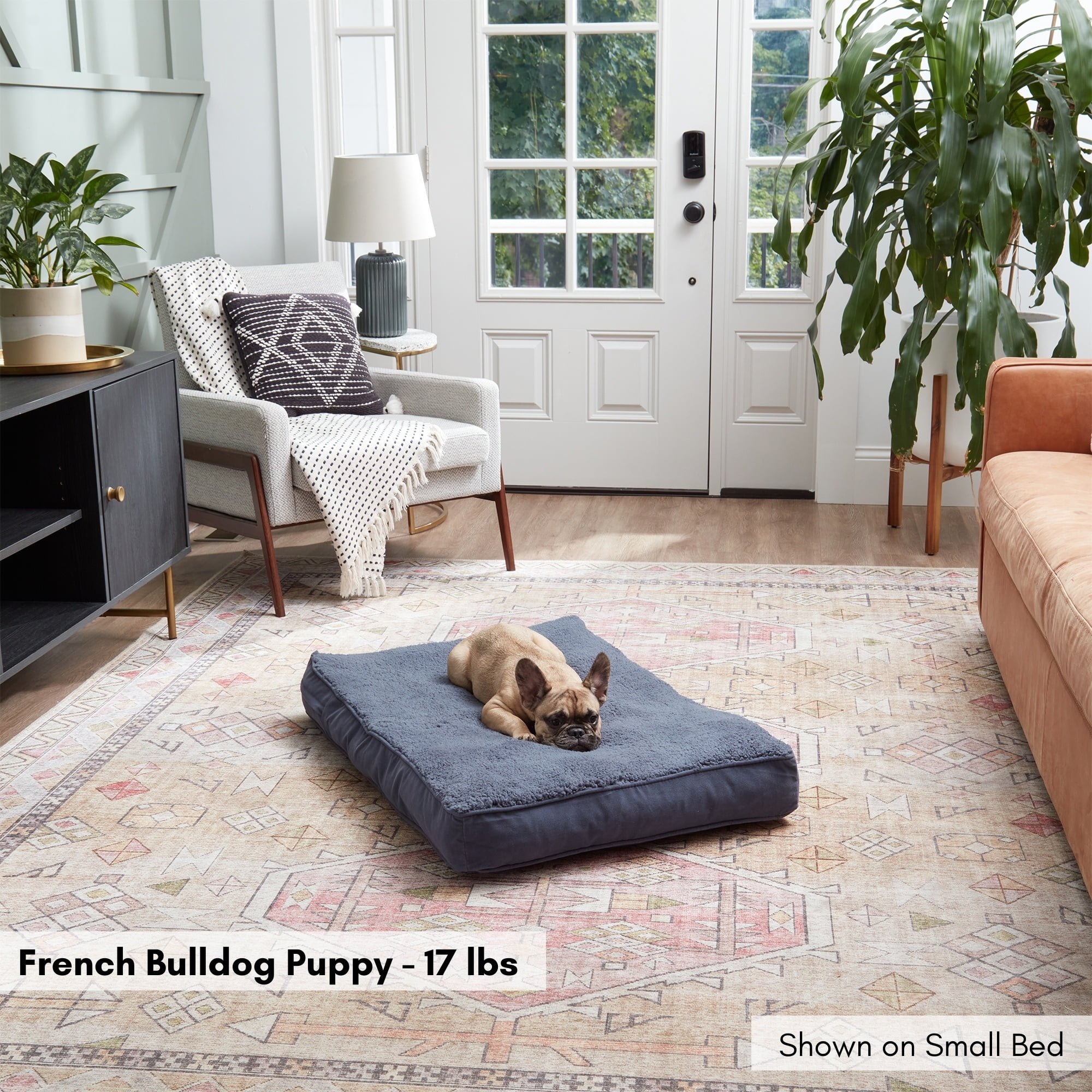 Happy Hounds Daisy Deluxe Sherpa Supportive Dog Bed, Blue Steel, Small (36 x 24 in.)