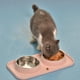 thumbnail image 5 of Cuencos dobles para comida y agua para perros de acero inoxidable con tapete de plástico antiderrames, 5 of 5