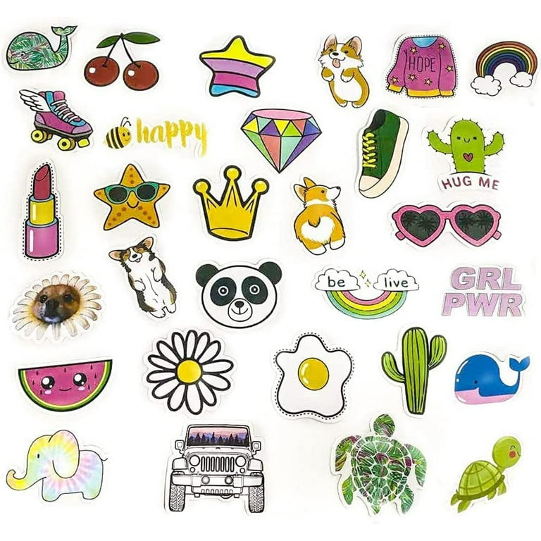 100 Pcs Waterproof Aesthetic Stickers Pack Vinyl Stickers Decals for  Skateboard, Luggage, Water-Bottle, Chromebook Emlimny 
