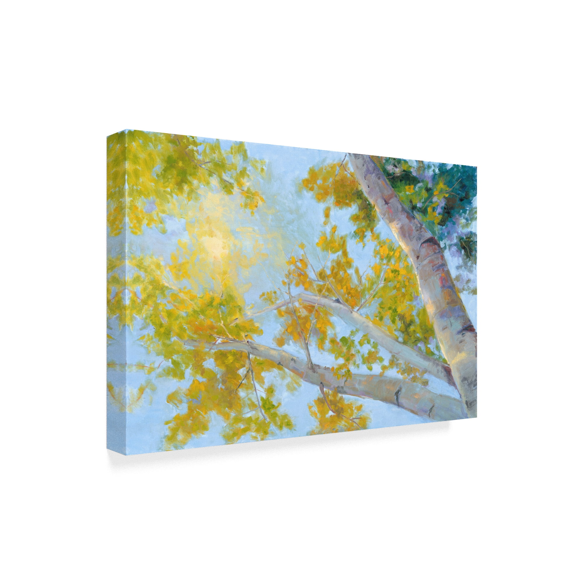 Trademark Fine Art 'Aspen Canopy' Canvas Art by Nanette Oleson