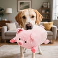 thumbnail image 4 of KMWGRE Durable Interactive Pet Chew Toys for Puppy Teething Training Indoor Outdoor Soft Fabric Play Biting Activity Pink1 25x14x9cm, 4 of 4