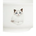 thumbnail image 2 of Pet White Portrait Porcelain All Purpose Bowl - I Love Ragdolls, 2 of 5