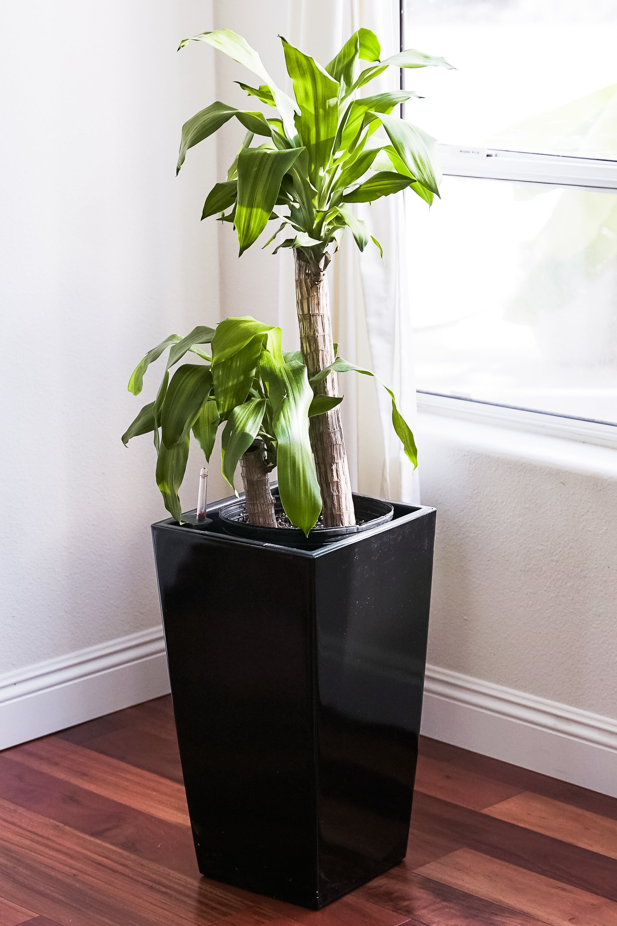 XBrand 22.4" H Black Plastic Self Watering Indoor Outdoor Square Planter Pot, Tall Decorative Gardening Pot, Home Décor Accent