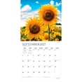 thumbnail image 4 of Sunflowers | 2027 12x24" (Hanging) Wall Calendar | Foil Stamped Cover | Plato, 4 of 9