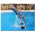 thumbnail image 1 of Dolphin Ceramic Tile Mural Kitchen Backsplash Bathroom Shower, 402800-L54, 1 of 3