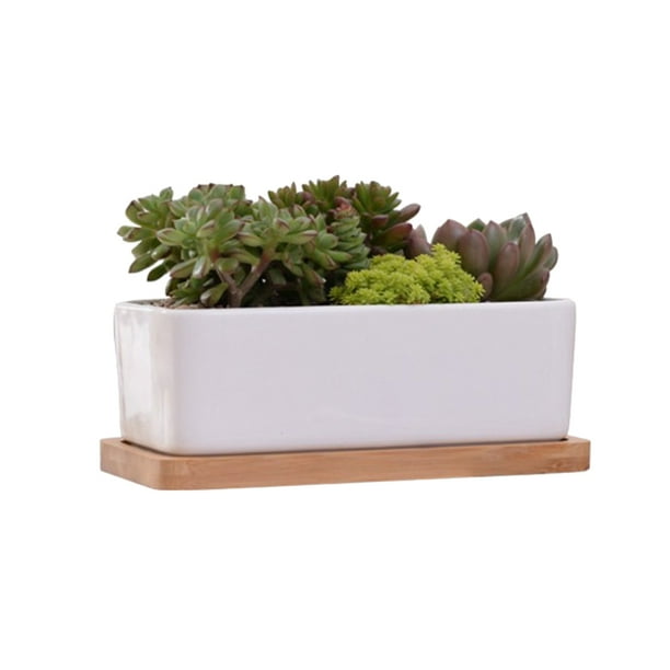 EeaseMX 2 macetas creativas con bandeja, maceta sencilla para plantas suculentas.