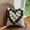 Grey, variant on NANDIYNZHI Glowing Heart Shaped Plush Pillow Valentine Decor Ultra Soft Small Cute Fluffy Pillows Heart Shaped Pillow Valentine Pillows Cute Decorative Pillows Sequin Pillow Wedding Decor