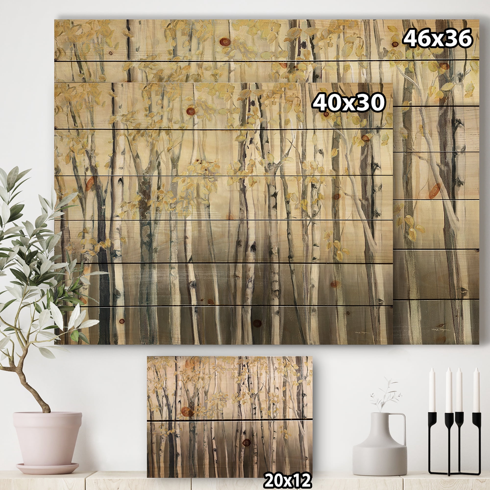 Designart 'Golden Birch Forest I' Landscapes Print on Natural Pine Wood