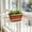 Red, variant on sruoe Plastic Window Box Planter, Thickened Scalloped Rim Long Trough Flower Pot, Weather Resistant Large Capacity Plant Container for Indoor Outdoor Apartment Patio Gardening Decor, 9.84 Inch