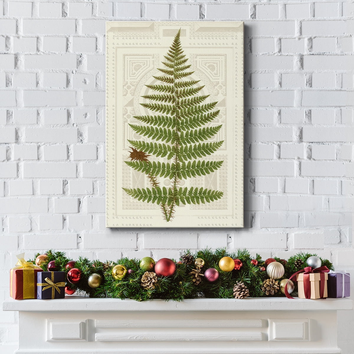 Garden Ferns V- Gallery Wrapped Canvas