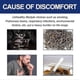 thumbnail image 3 of magnet therapy ear clip for smoking cessation, 3 of 5