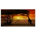 thumbnail image 2 of Typical African Sunset with Giraffe - Oversized African Landscape Canvas Art, 2 of 3
