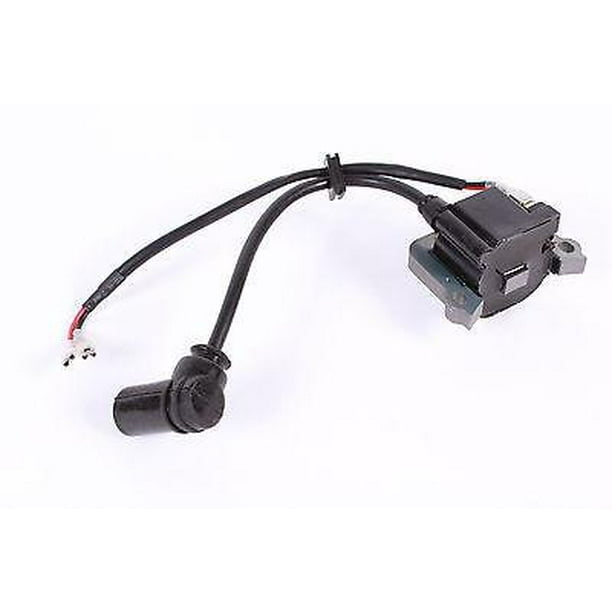 300472 IGNITION COIL VIPER Earthquake / Ardisam