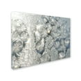 thumbnail image 2 of Trademark Fine Art "Frost Pattern in the Sun" Canvas Art by Kurt Shaffer, 2 of 3