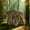 Brown-5, variant on Yardi Yarda 360° One Way See Through Ground Hunting Blind for Deer and Turkey Hunting, Hunting Tent, Brown