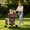 khaki, variant on Pawverly 3-in-1 Double Dog & Cat Stroller with Detachable Carrier, Foldable Pet Travel Cart for Small & Medium Pets, 4-Wheel Stroller, Black