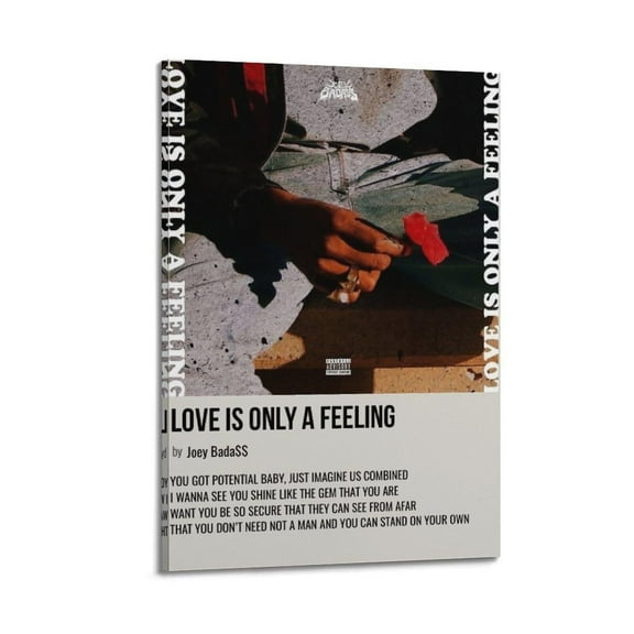 Joey Badass Classic Music (2) Album Posters Canvas