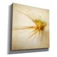 thumbnail image 2 of Epic Graffiti 'Grasses 2' by Jessica Rogers, Canvas Wall Art, 37"x37", 2 of 8