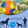 thumbnail image 3 of Herding Ball for Dogs with Grab Tabs, Inflatable Interactive Heavy Duty Soccer Ball for Large Medium Dogs, Durable Pet Toy for Exercise & Training, 3 of 20