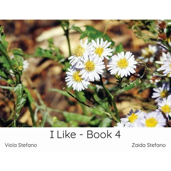 I Like I Like - Book 4, Book 1, (Paperback)
